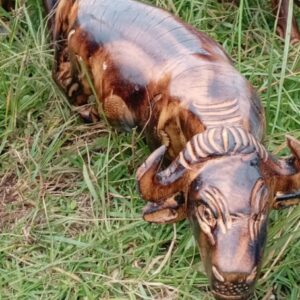 AFRICAN CURIO